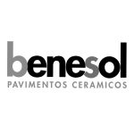 logo-benesol